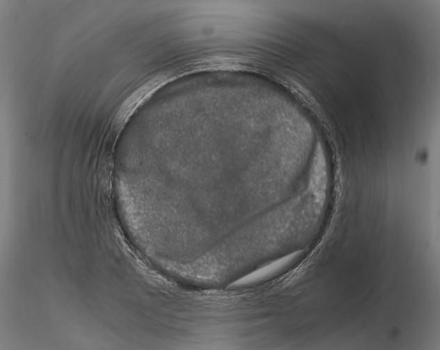 X0000115101081200912081253