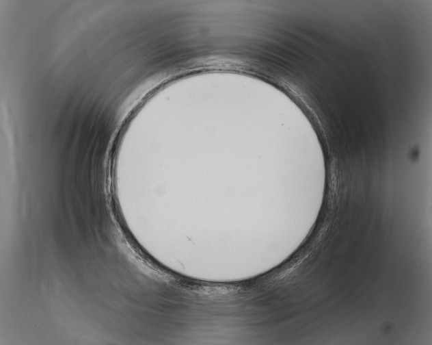 X0000115101082200912081253