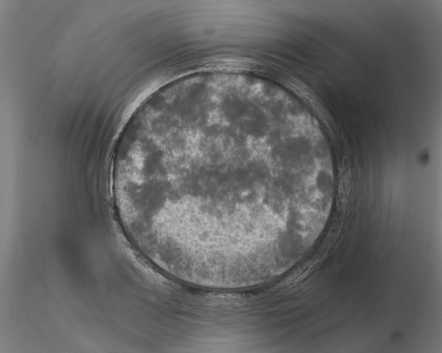 X0000115101083200912081253