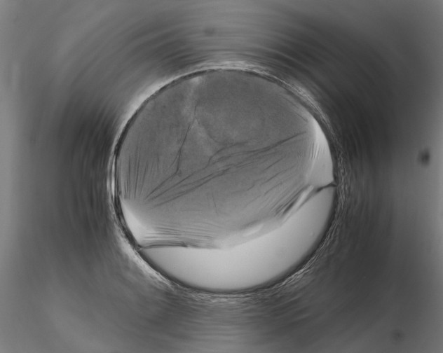 X0000115101084200912081253