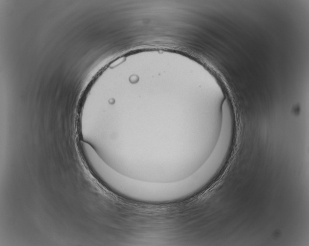 X0000115101085200912081253