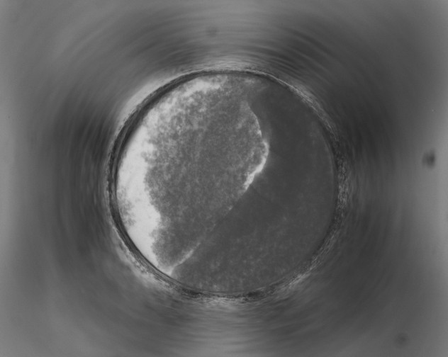 X0000115101086200912081253