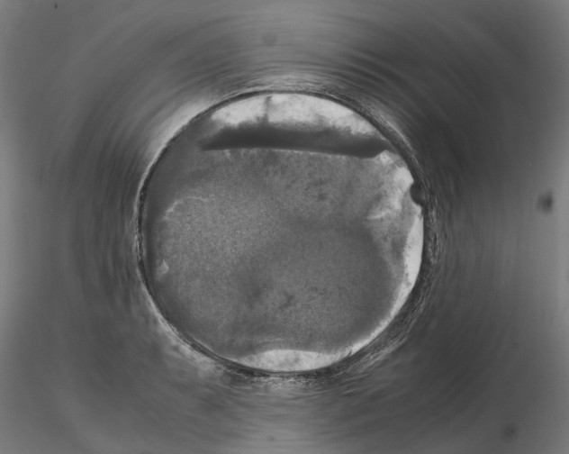 X0000115101087200912081253