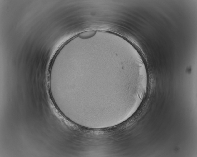 X0000115101088200912081253