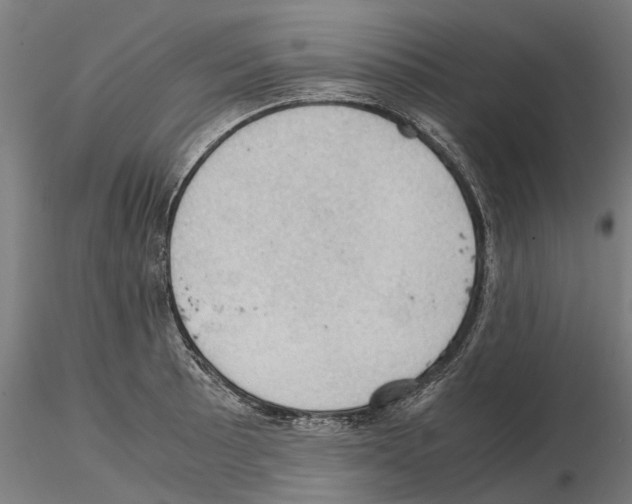 X0000115101089200912081253