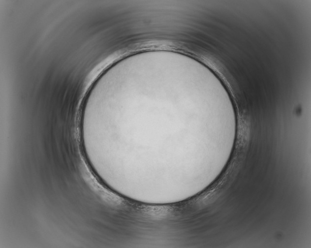 X0000115101090200912081253