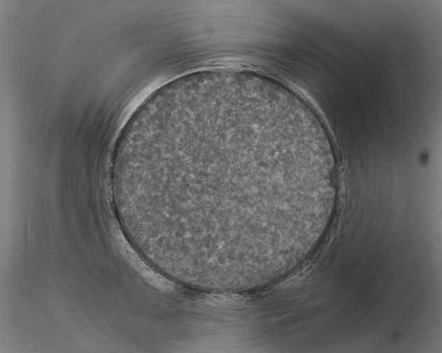 X0000115101091200912081253