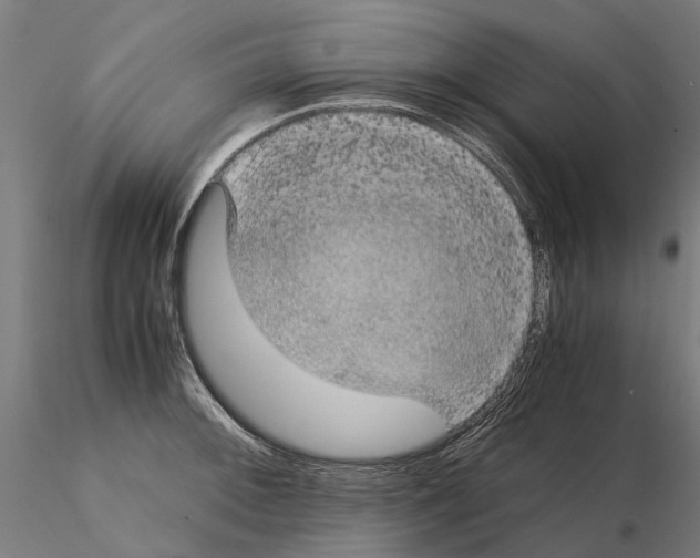 X0000115101092200912081253