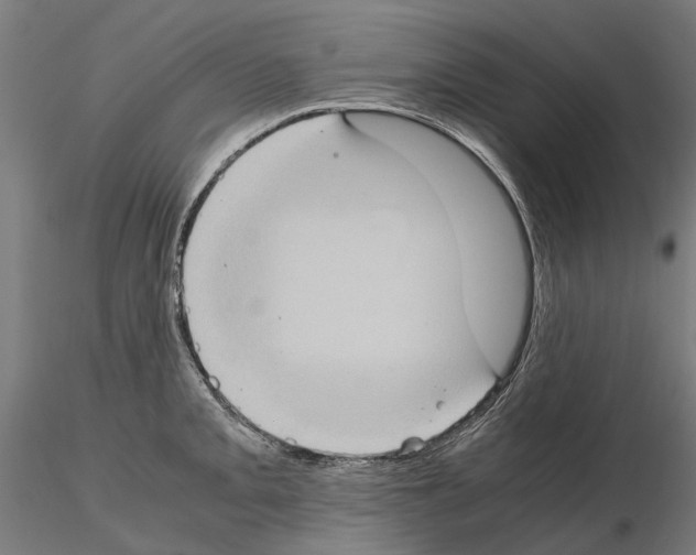 X0000115101093200912081253