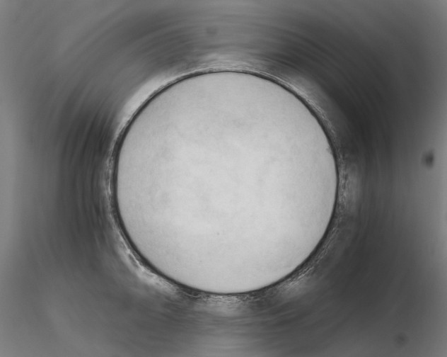 X0000115101094200912081253