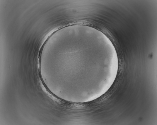 X0000115101095200912081253