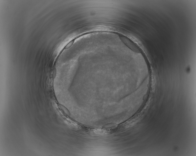 X0000115101097200912081253