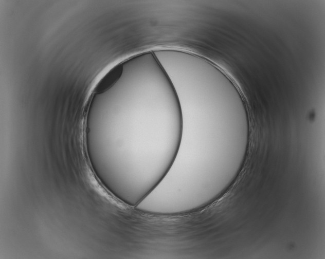 X0000115101100200912081253