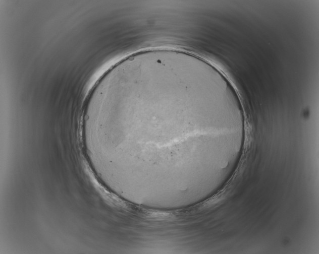 X0000115101101200912081253