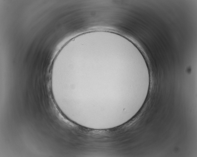 X0000115101102200912081253