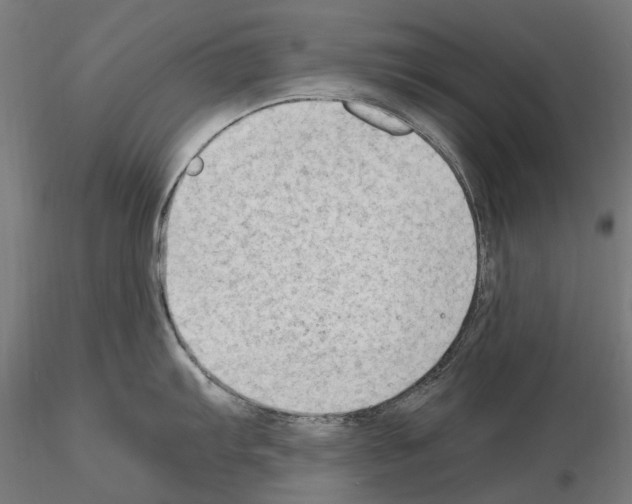 X0000115101103200912081253