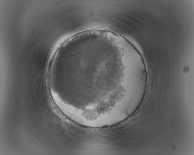 X0000115101104200912081253