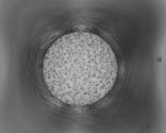 X0000115101105200912081252