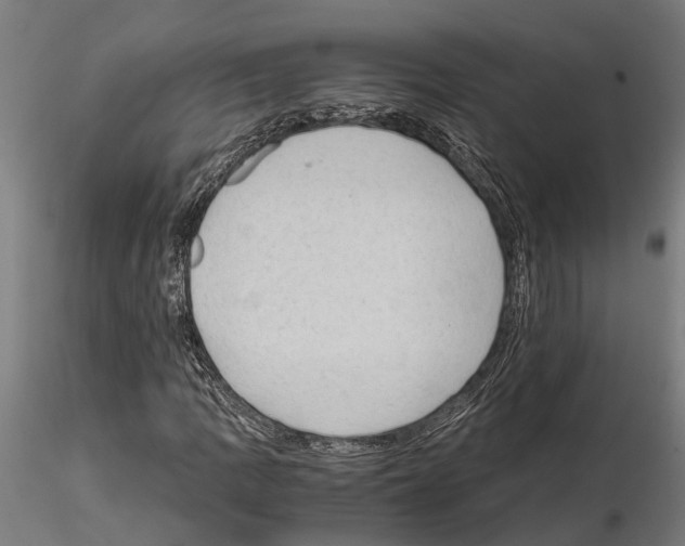 X0000115101109200912081252