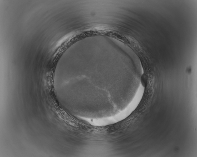 X0000115101110200912081252