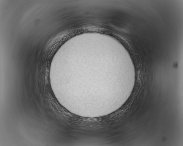 X0000115101111200912081252