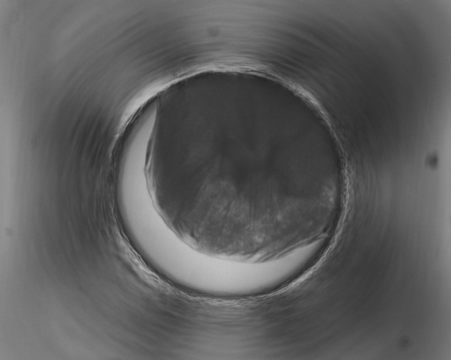 X0000115101114200912081252