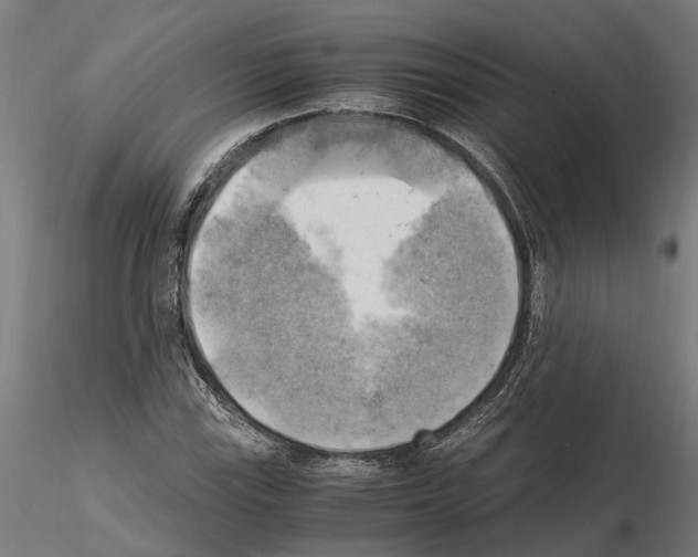 X0000115101115200912081252