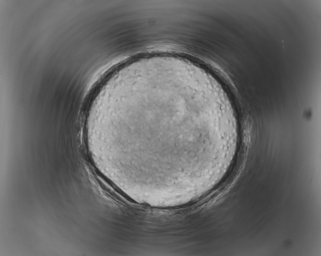 X0000115101117200912081252