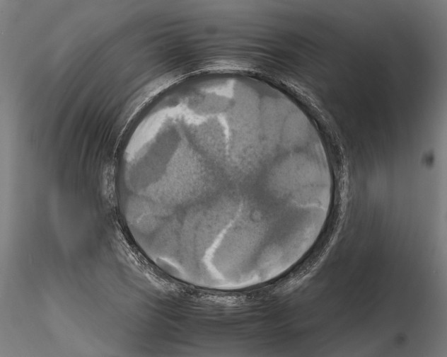 X0000115101121200912081252