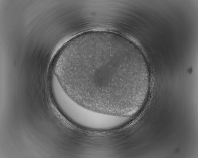 X0000115101122200912081252