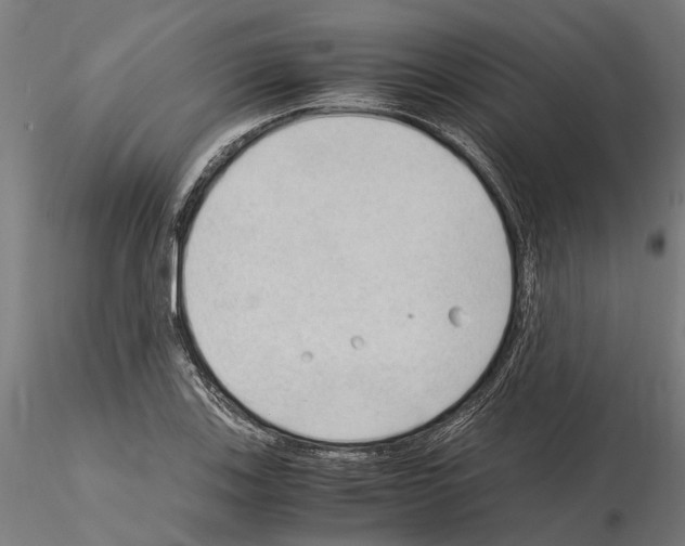 X0000115101123200912081252