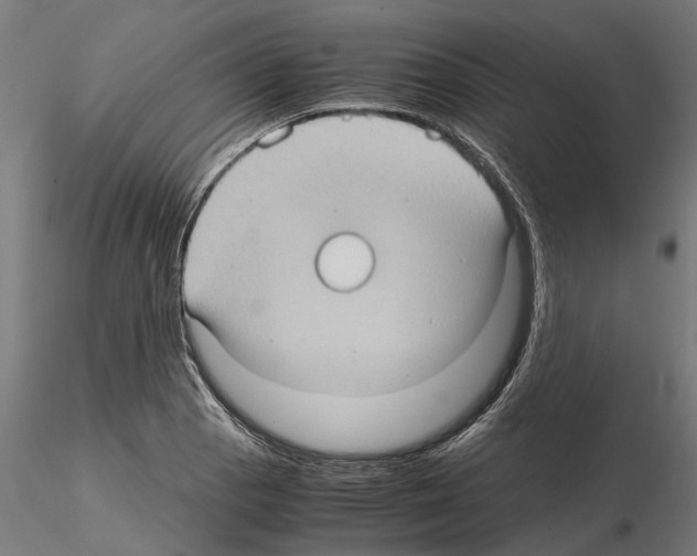 X0000115101129200912081252