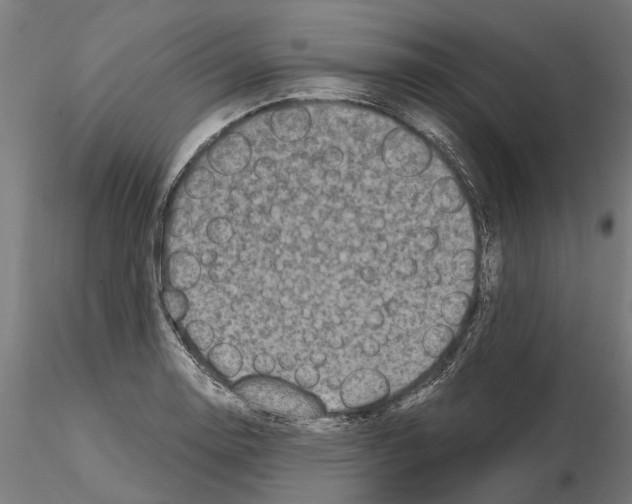 X0000115101130200912081252