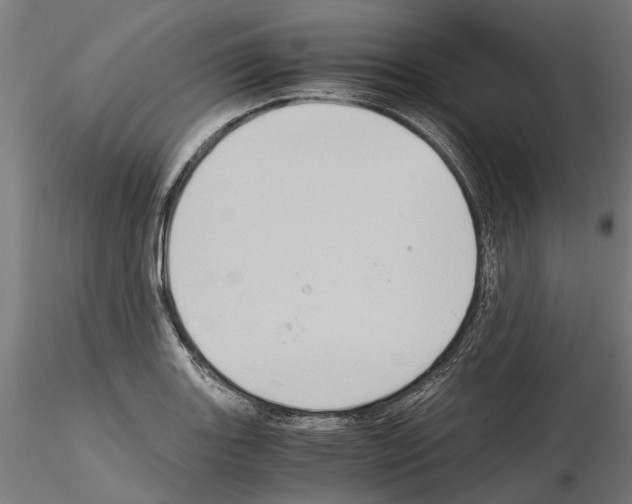 X0000115101131200912081252