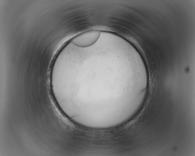 X0000115101133200912081252