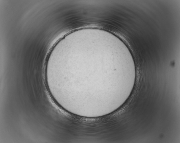 X0000115101135200912081252