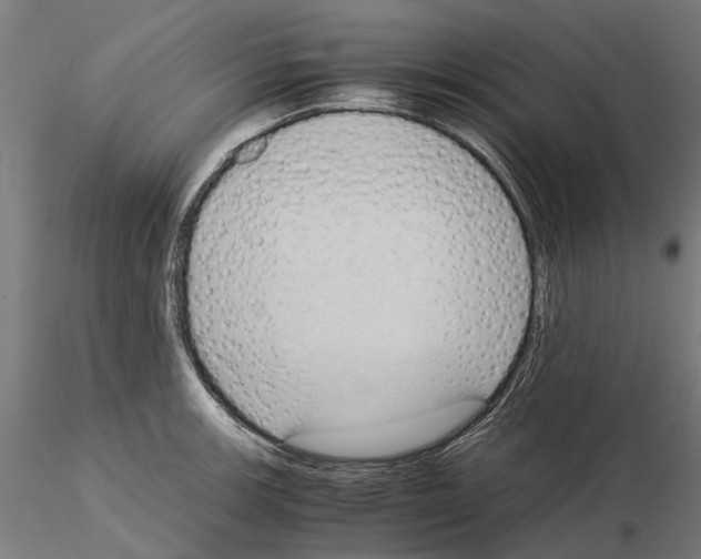 X0000115101139200912081252