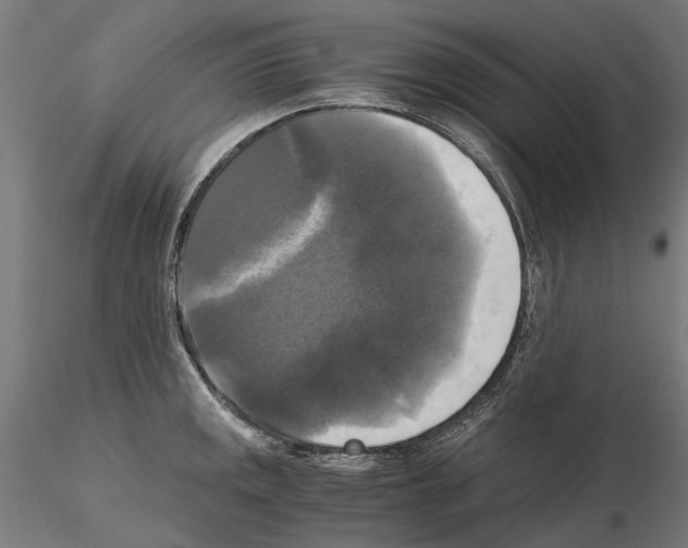 X0000115101141200912081252