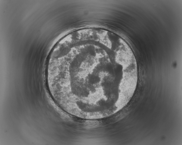 X0000115101142200912081252