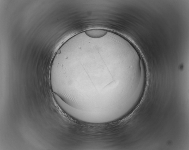 X0000115101145200912081253