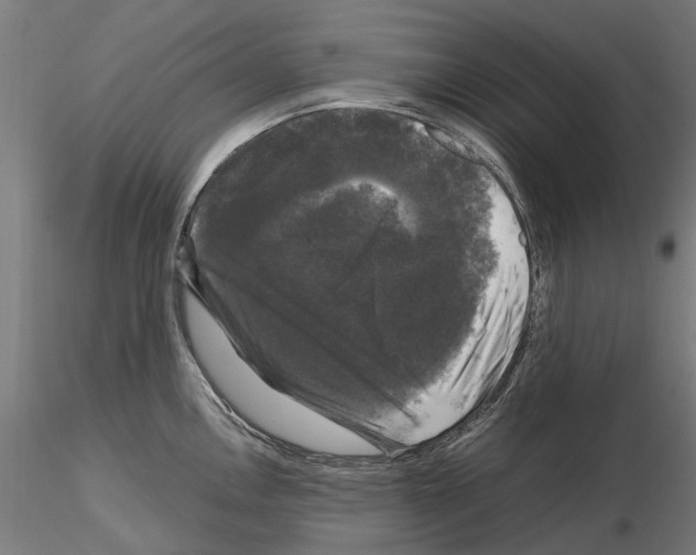 X0000115101146200912081253