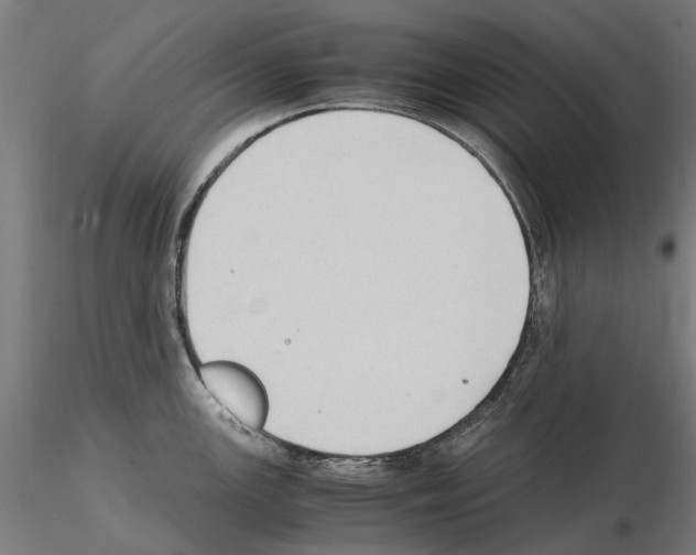 X0000115101147200912081253