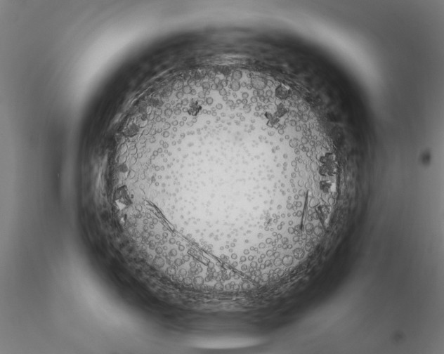 X0000115101150200912081253