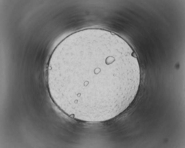 X0000115101151200912081253