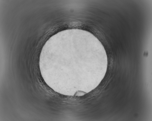 X0000115101153200912081252