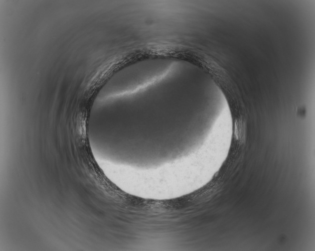 X0000115101155200912081252