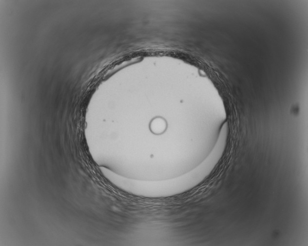 X0000115101157200912081252