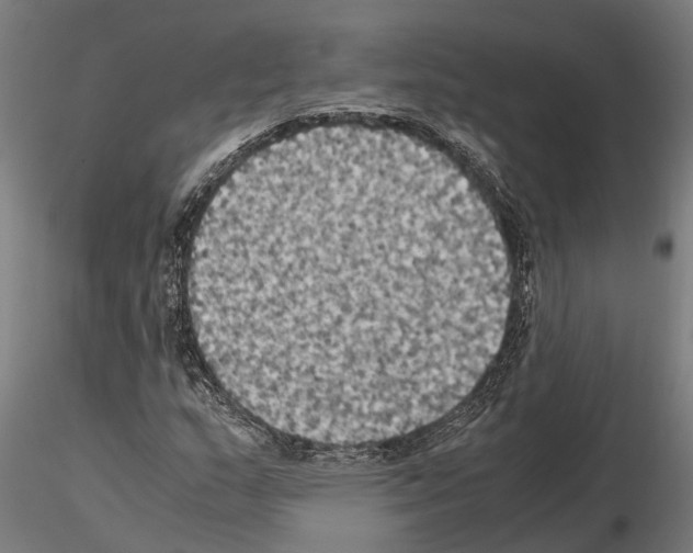 X0000115101159200912081252