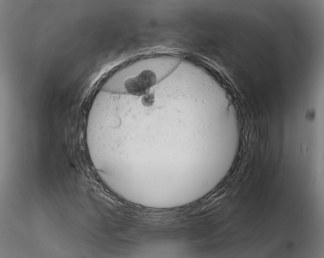 X0000115101160200912081252