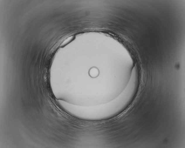 X0000115101161200912081252